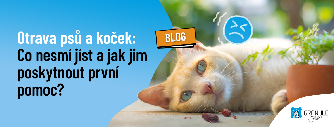web_1160x441_blog_2024_otrava_psu_a_kocek[1]